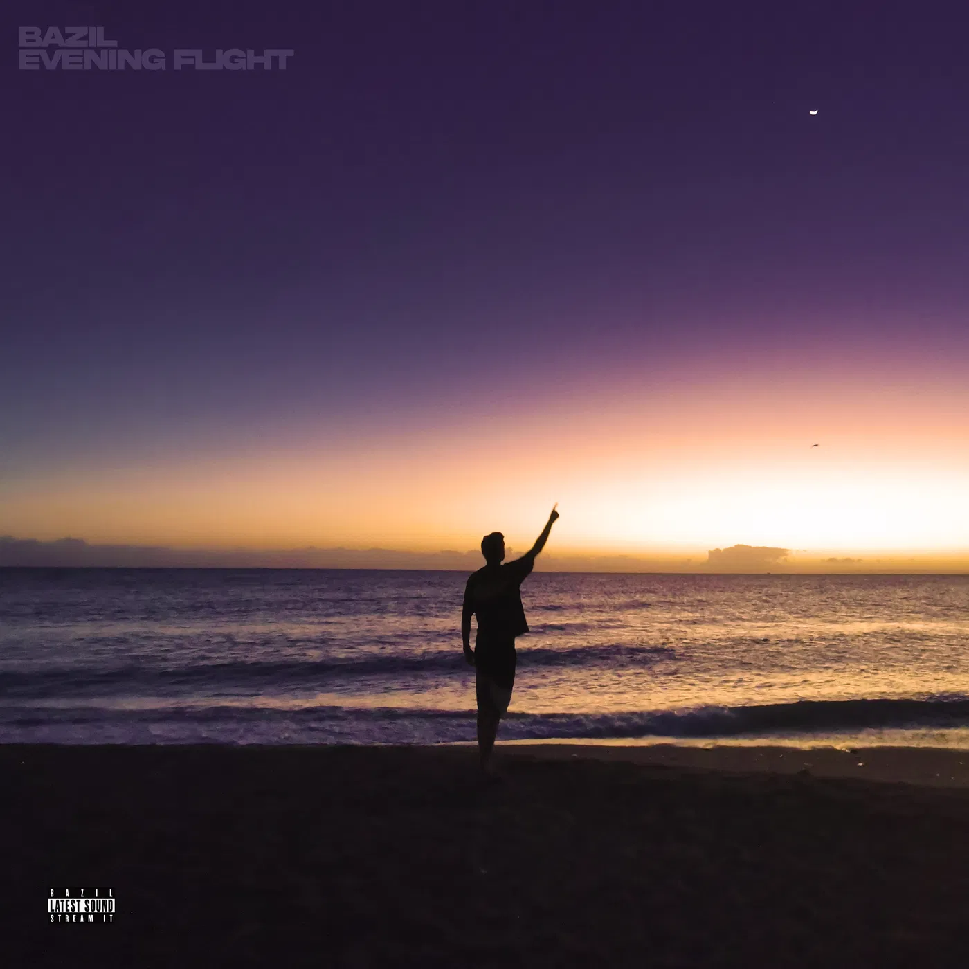 Bazil evening flight album cover, official reggae artist photo